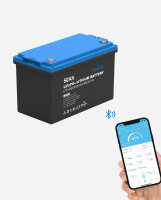 EPEVER&reg;  LiFePO4 Batteries 25,6V 50Ah &ndash;205Ah...