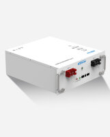 EPEVER&reg; Lithium Batterie LiFePO4 Batterien 48V/51,2V 100Ah/205Ah - BMS integriert, A-Klasse LiFePO4-Zellen, Batteriegestell-Montage  - (0% Mwst)